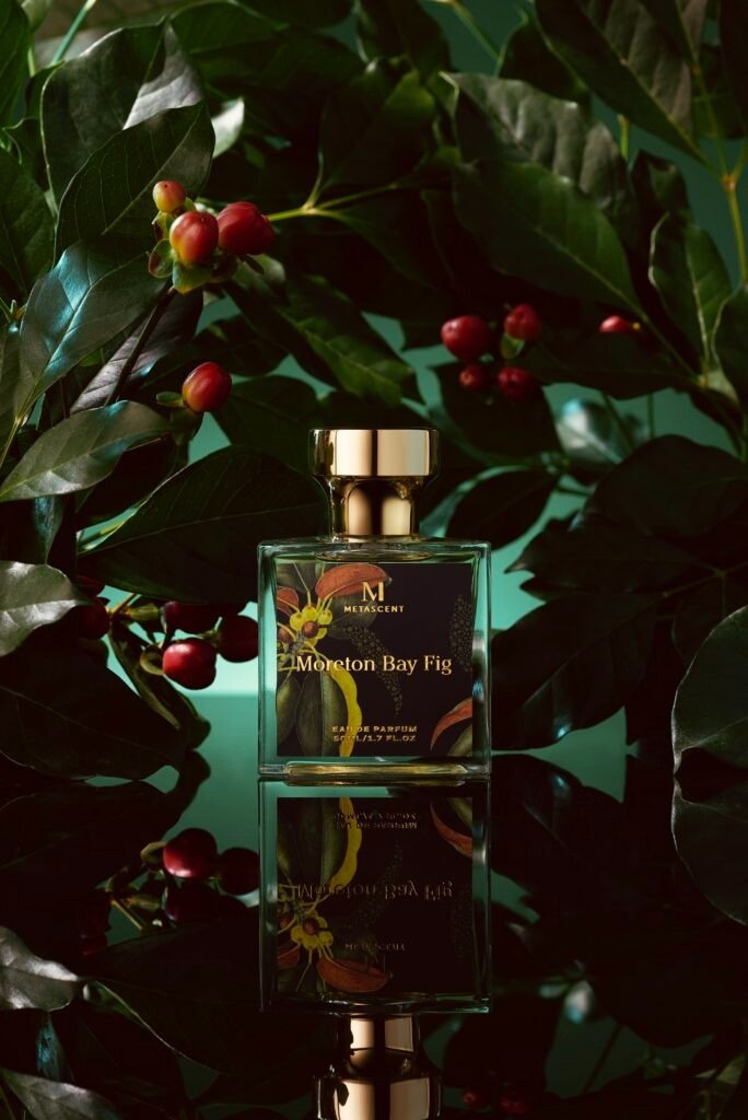 MORETON BAY FIG - Kōdō.boutique