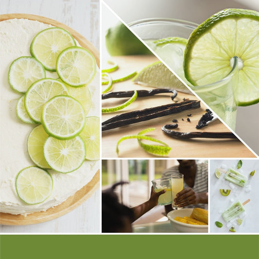 Ricarica Diffusore Elettrico Scent Plug "Vanilla & Lime" Yankee Candle - Kōdō.boutique