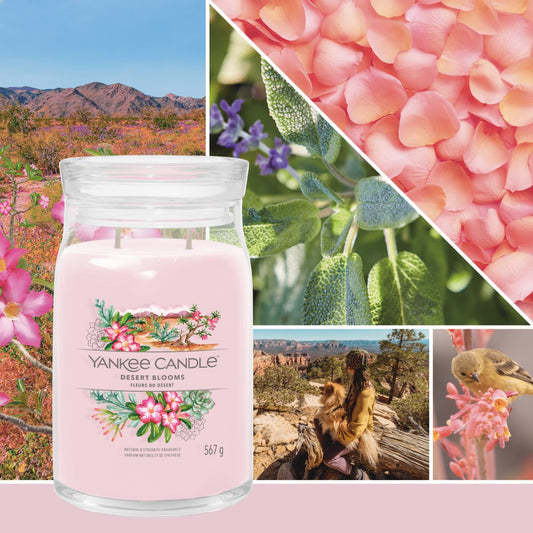 Candela Signature Grande "Desert Blooms" Yankee Candle - Kōdō.boutique