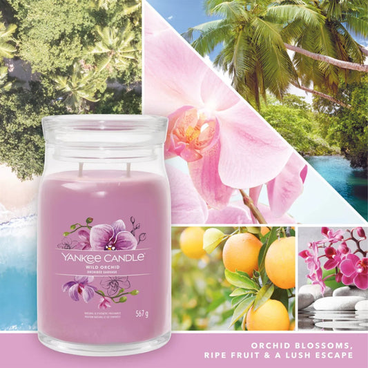 Candela Signature Grande "Wild Orchid" Yankee Candle - Kōdō.boutique