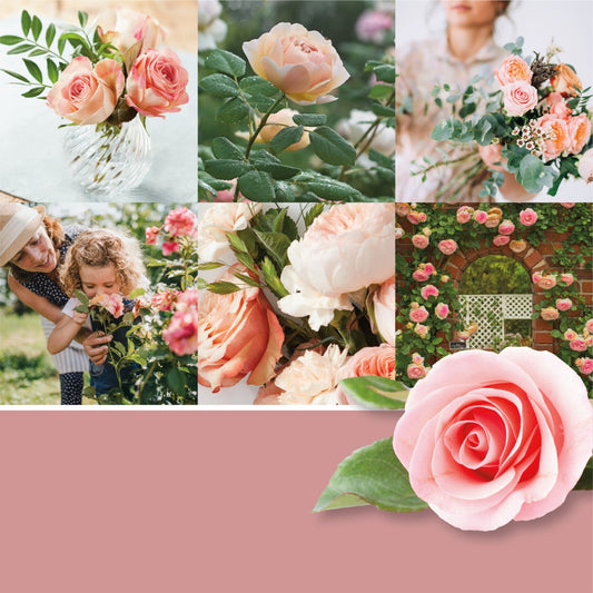 Cera da fondere "Fresh Cut Roses" Yankee Candle - Kōdō.boutique