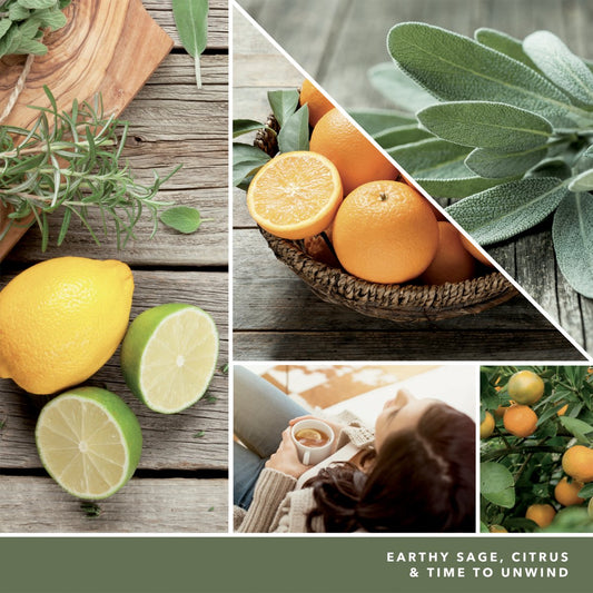 Cera da fondere "Sage & Citrus" Yankee Candle - Kōdō.boutique