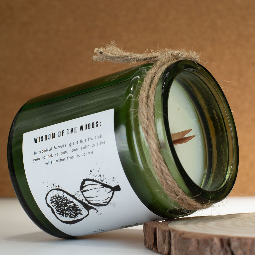 Candela in cera di soia Greenman — Fico e ribes nero