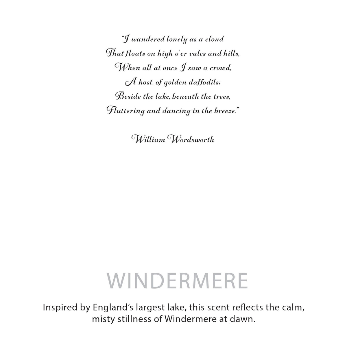 Candela botanica in cera di soia Agnes + Cat — Windermere
