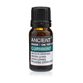 Olio Essenziale - Menta Arvensis