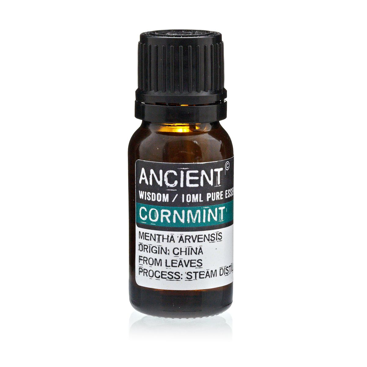 Olio Essenziale - Menta Arvensis