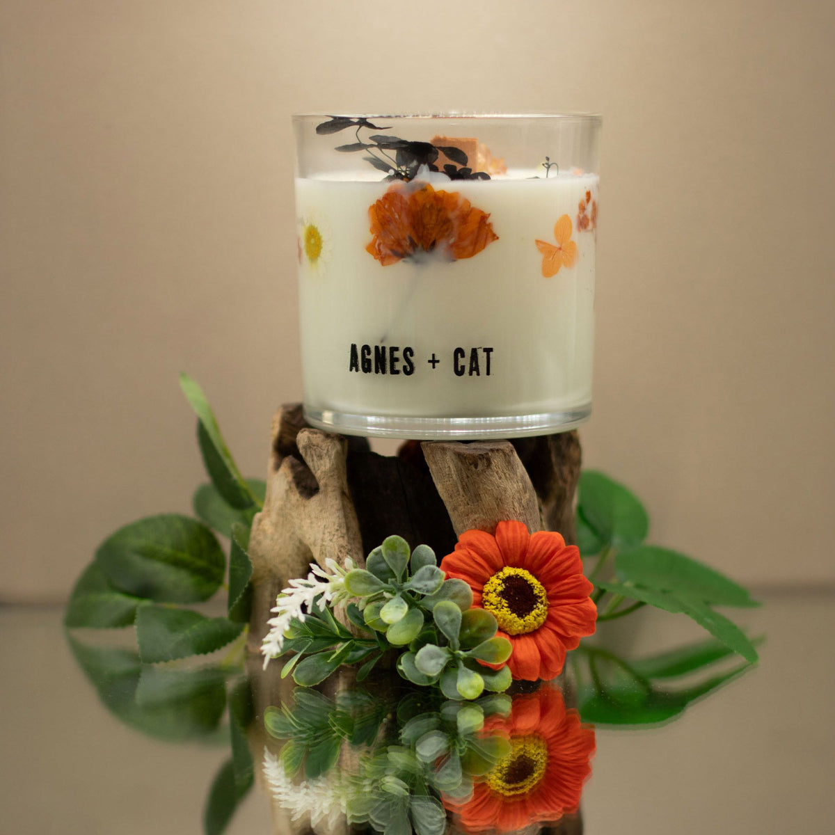 Candela botanica in cera di soia Agnes + Cat — Caffè dei laghi