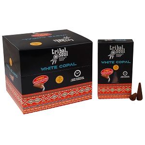 Coni di incenso a riflusso Tribal Soul — Copal bianco