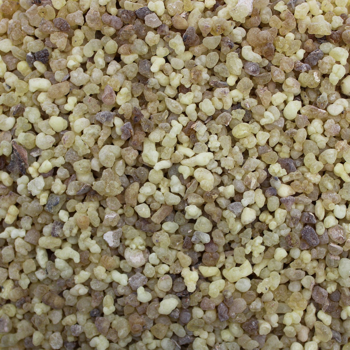 Resina aromatica — Olibano — 250 g
