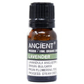 Olio Essenziale Biologico - Lavanda