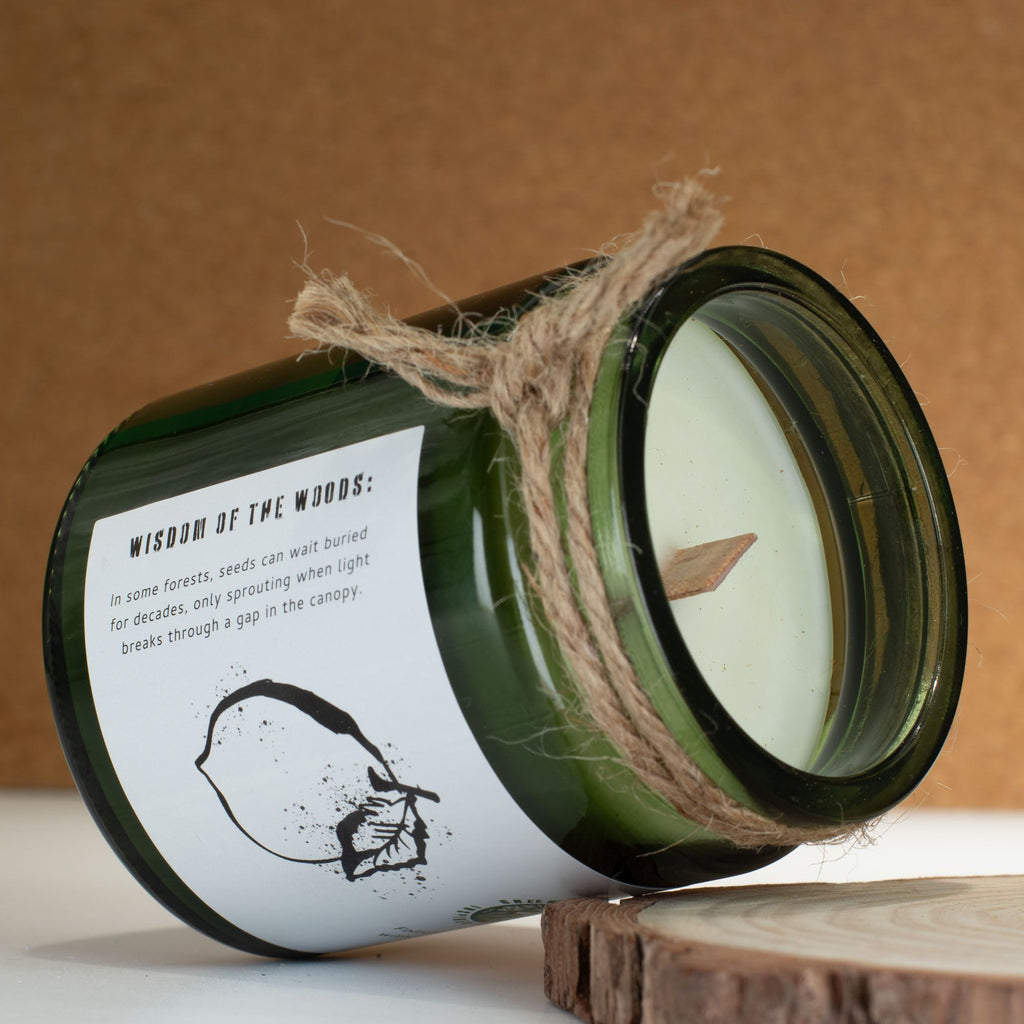 Candela in cera di soia Greenman — Resina del bosco