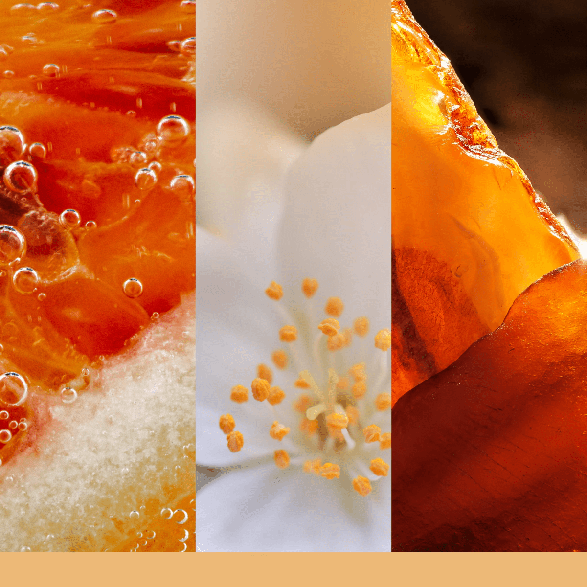 Candela Signature Grande "Glistening Leaves" Yankee Candle - Kōdō.boutique