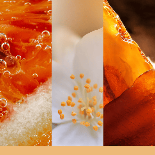 Candela Signature Grande "Glistening Leaves" Yankee Candle - Kōdō.boutique