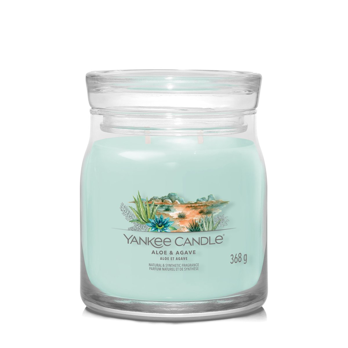 Candela Aloe & Agave