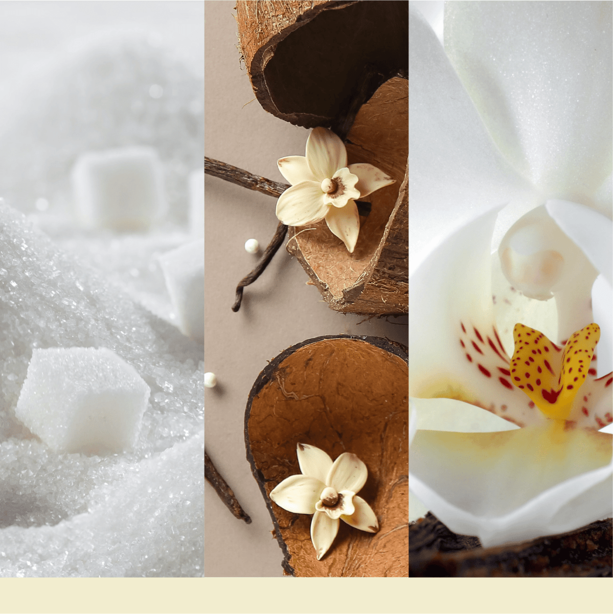 Candela Signature Media "Vanilla Flurries" Yankee Candle - Kōdō.boutique