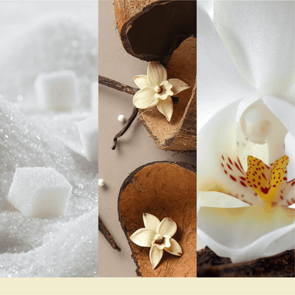 Candela Signature Media "Vanilla Flurries" Yankee Candle - Kōdō.boutique