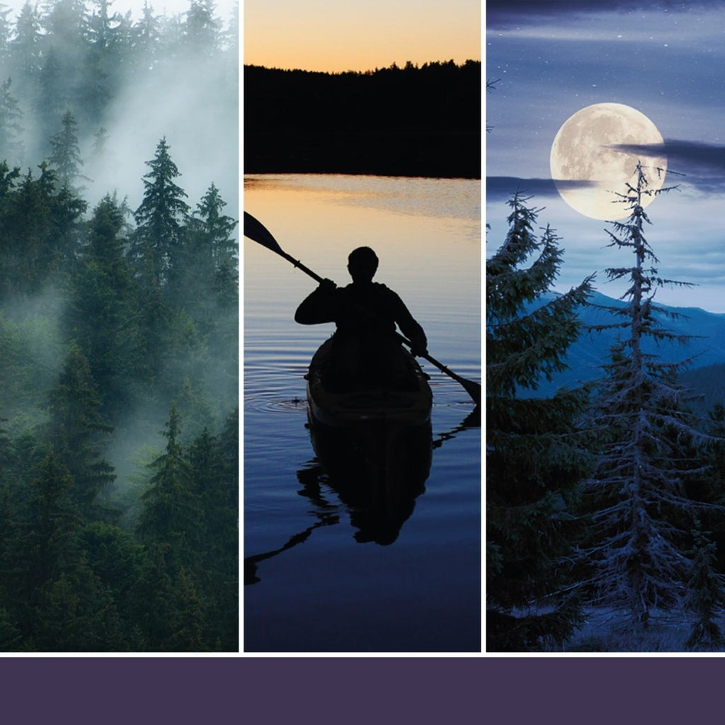 Candela Tumbler Grande "Midsummer's Night" Yankee Candle - Kōdō.boutique