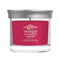Candela Tumbler Piccola "Santa on Skis" Yankee Candle - Kōdō.boutique