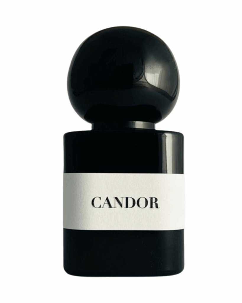CANDOR - Kōdō.boutique