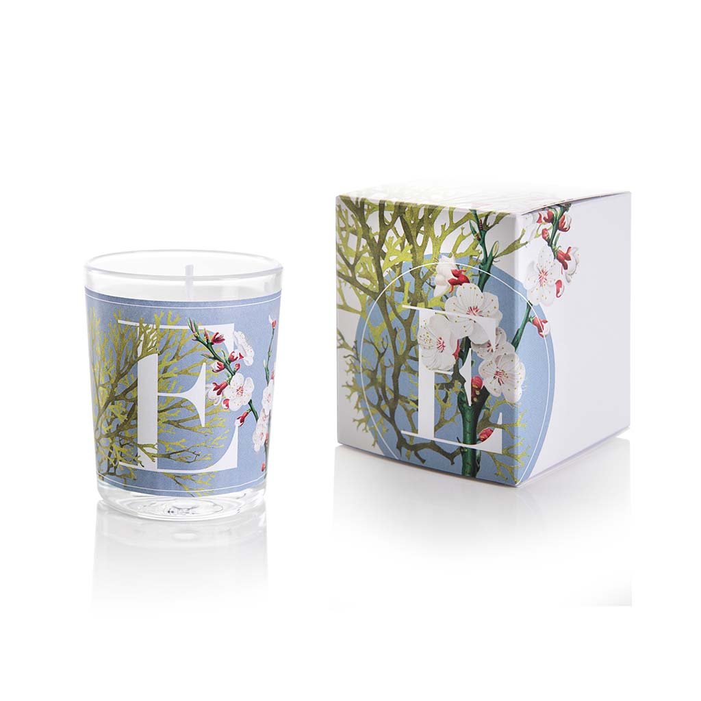 Eucalyptus & Musk - Kōdō.boutique