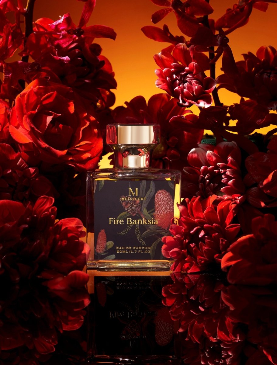 FIRE BANKSIA - Kōdō.boutique