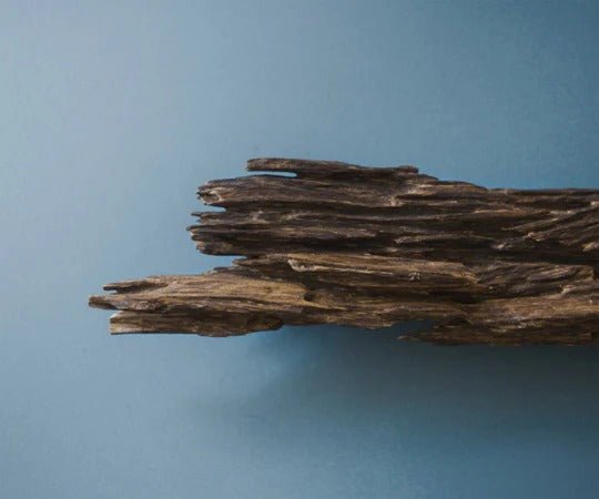 Kyara Fugaku Superior Aloeswood – Incenso Giapponese di Lusso - Kōdō.boutique