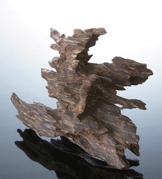 Kyara Fugaku Superior Aloeswood – Incenso Giapponese di Lusso - Kōdō.boutique