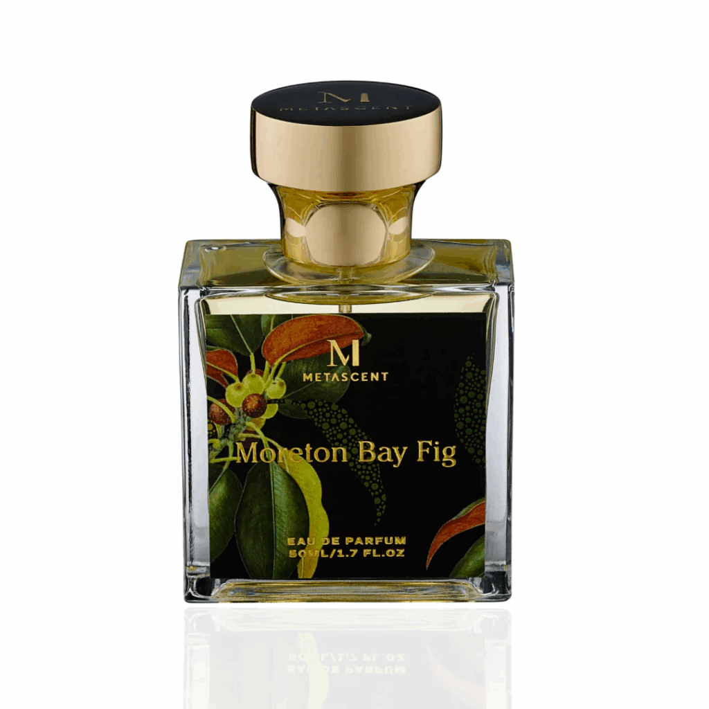 MORETON BAY FIG - Kōdō.boutique