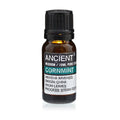Olio Essenziale - Menta Arvensis - Kōdō.boutique