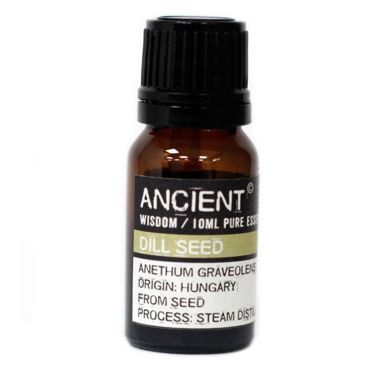 Olio Essenziale - Seme di Aneto - Kōdō.boutique