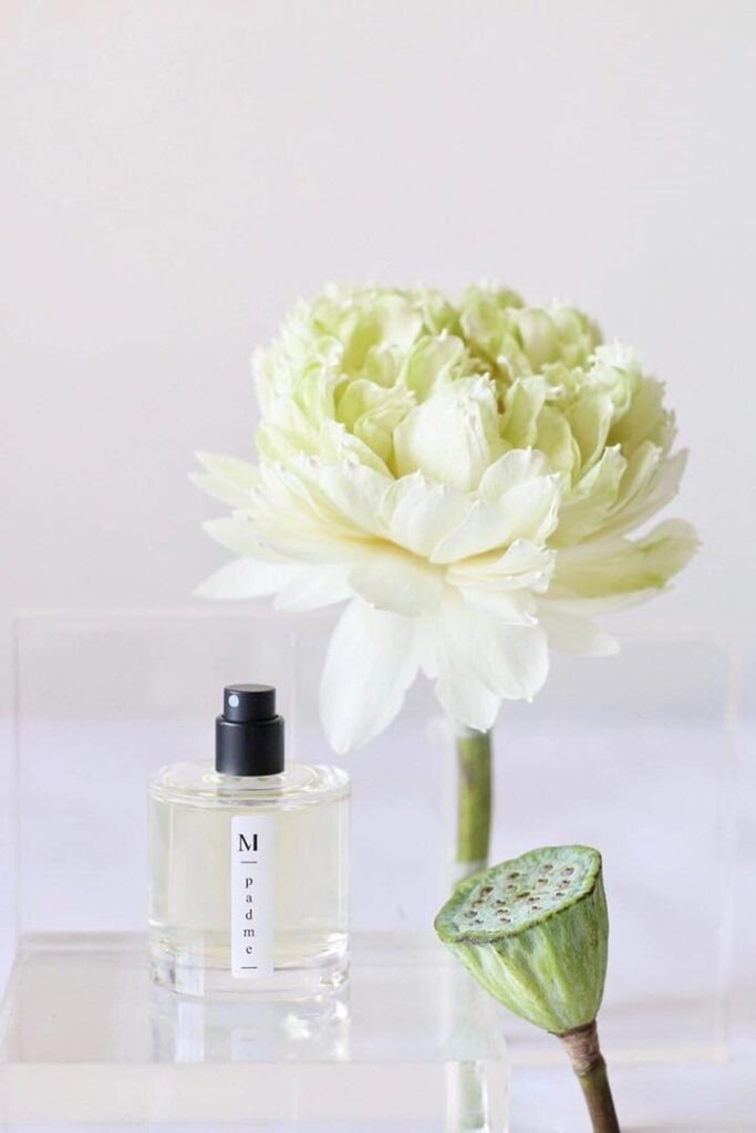 PADME - Kōdō.boutique