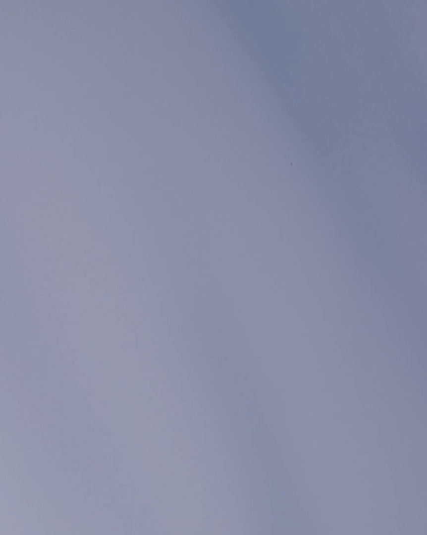 Viola Ametista - Profumatore per Bucato