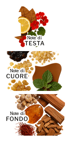 Profumo Cuoio Toscano - Kōdō.boutique