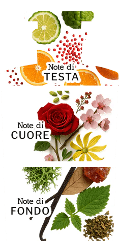 Profumo Sparkling Notturno - Kōdō.boutique