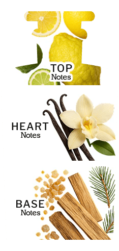 Profumo Via dell'incenso - Kōdō.boutique