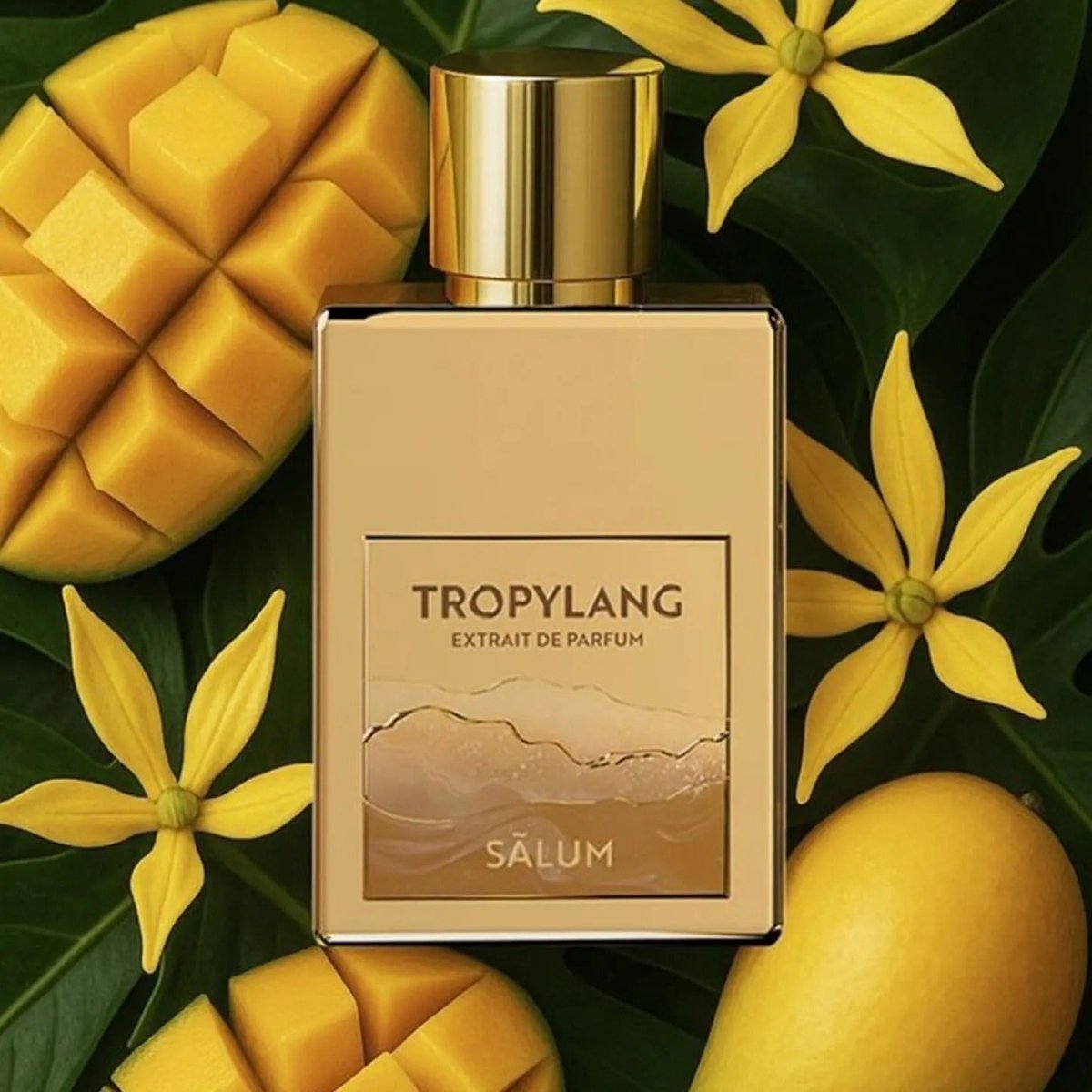 Tropylang - Kōdō.boutique