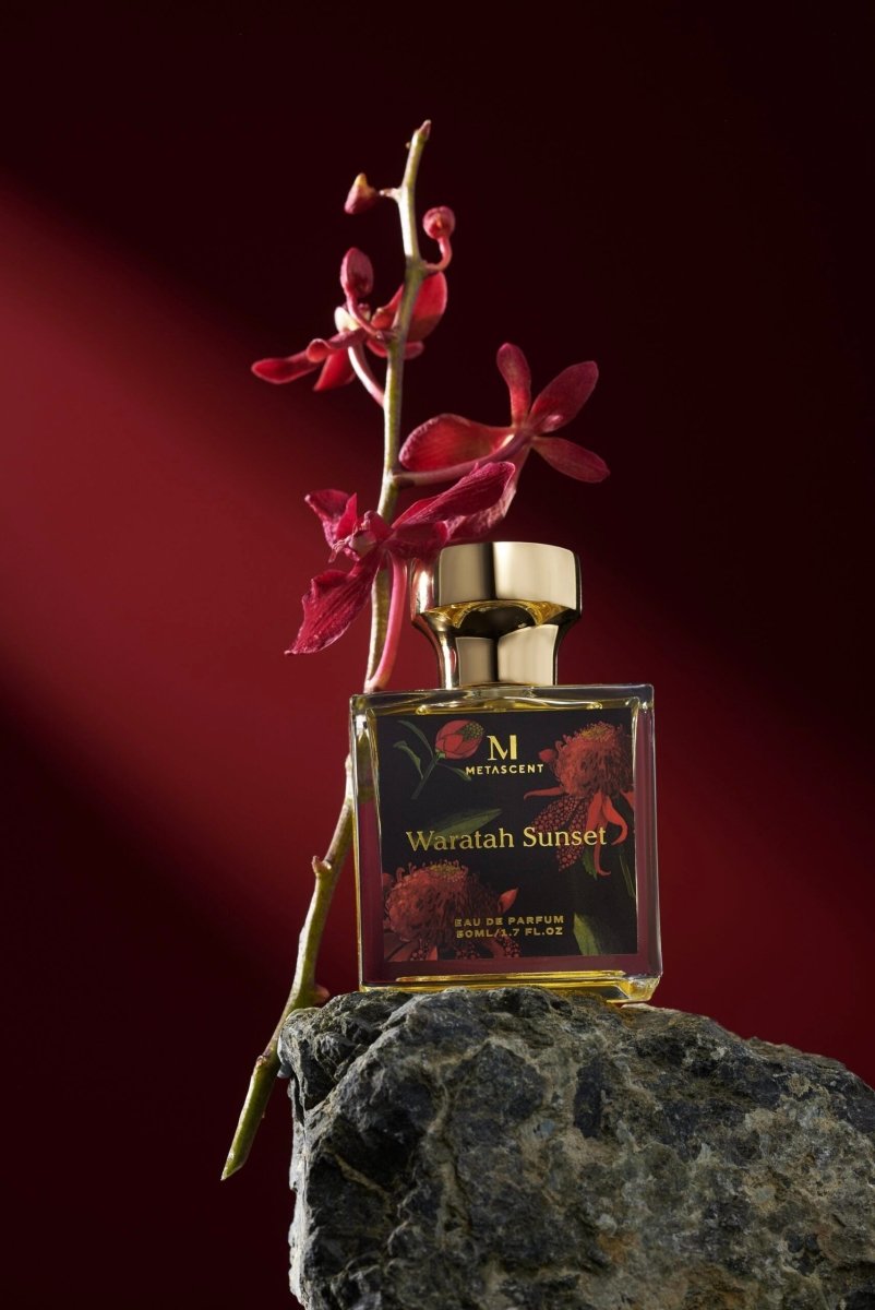WARATAH SUNSET - Kōdō.boutique