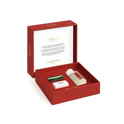 Zenzero Lucente – Set Profumo per ambienti a bastoncini e Deo Auto - Kōdō.boutique