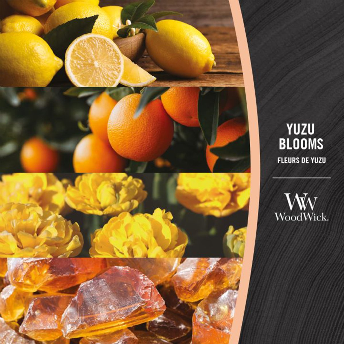 Candela Clessidra Grande, Yuzu Blooms Wood Wick - Kōdō.boutique