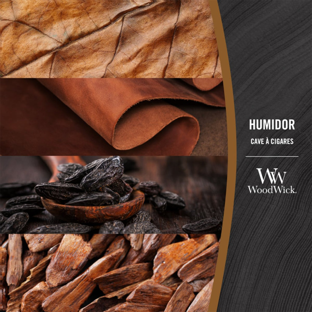 Candela Ellipse, Humidor Wood Wick - Kōdō.boutique