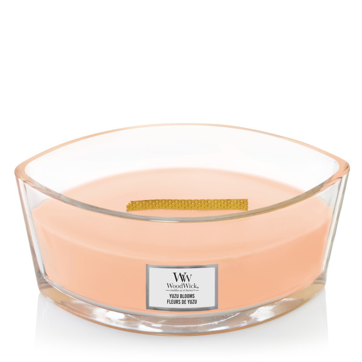 Candela Ellipse, Manuka Nectar Wood Wick - Kōdō.boutique