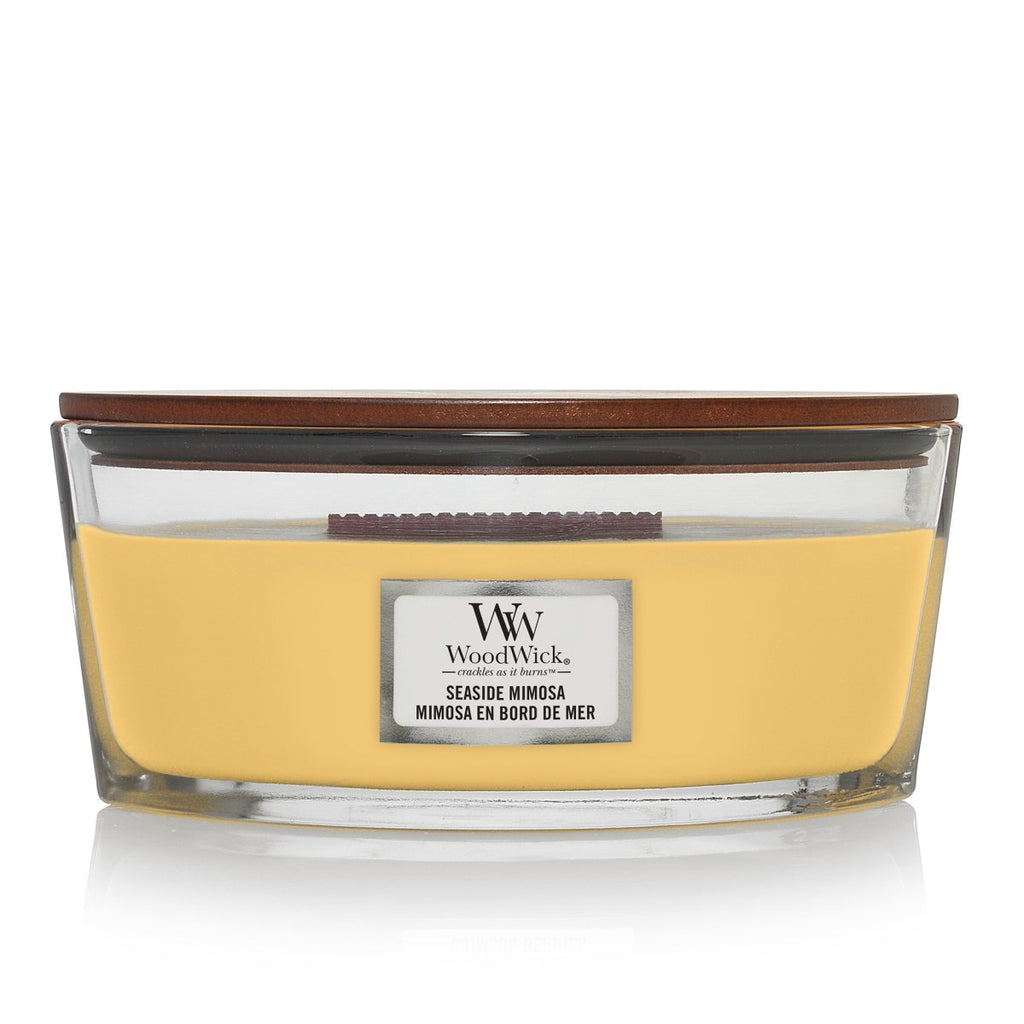 Candela Ellipse, Seaside Mimosa Wood Wick - Kōdō.boutique
