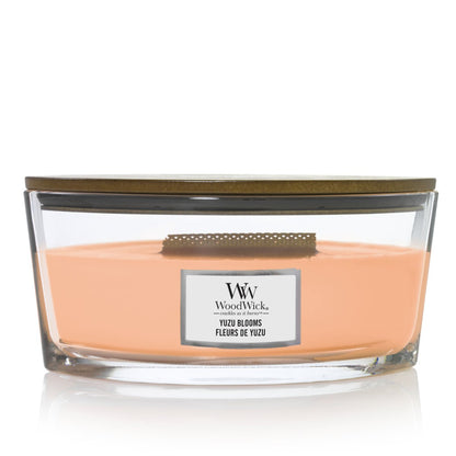 Candela Ellipse, Yuzu Blooms Wood Wick - Kōdō.boutique