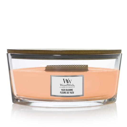 Candela Ellipse, Yuzu Blooms Wood Wick - Kōdō.boutique