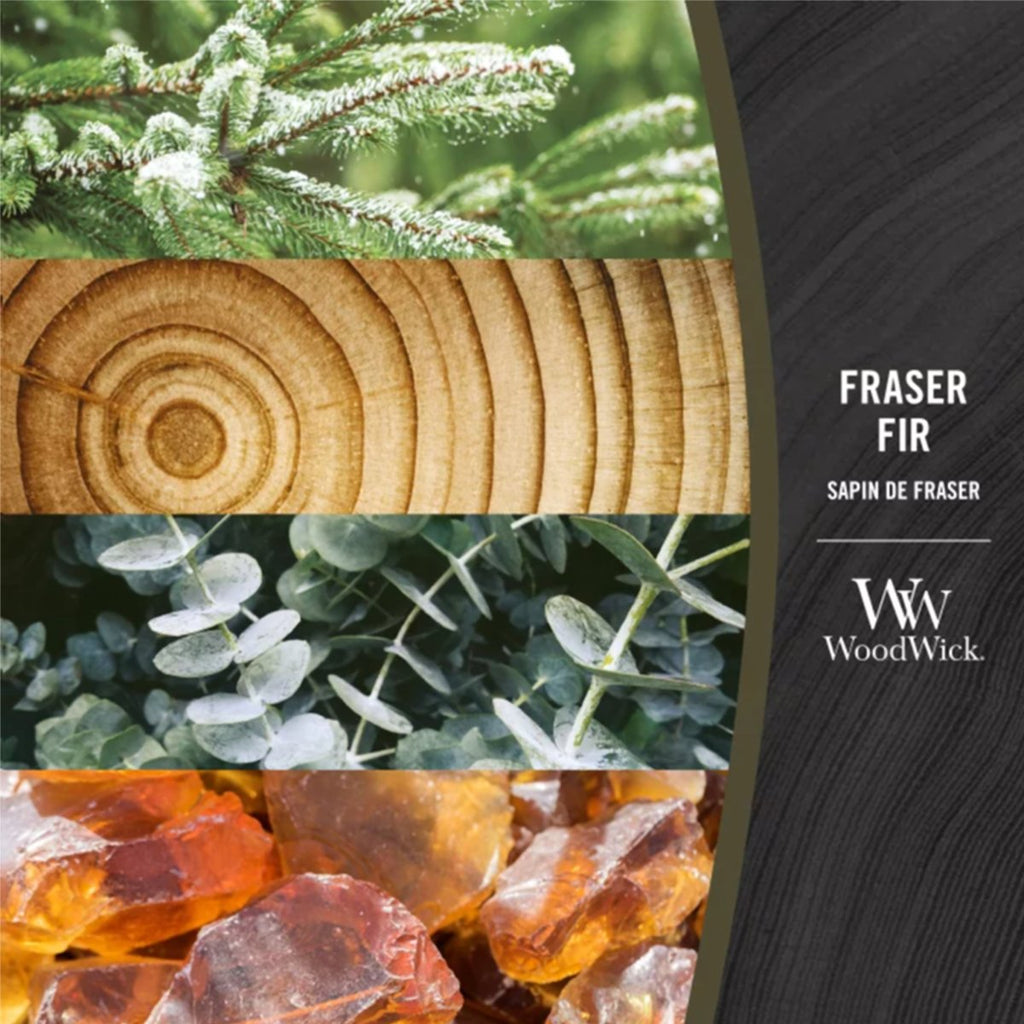 Candela Media Clessidra, Frasier Fir Wood Wick - Kōdō.boutique