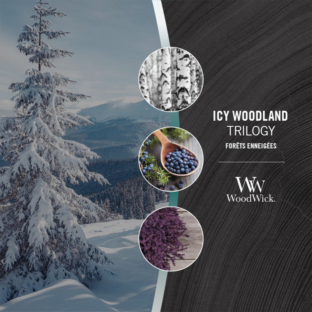 Candela Trilogy Clessidra Grande, Icy Woodland Wood Wick - Kōdō.boutique