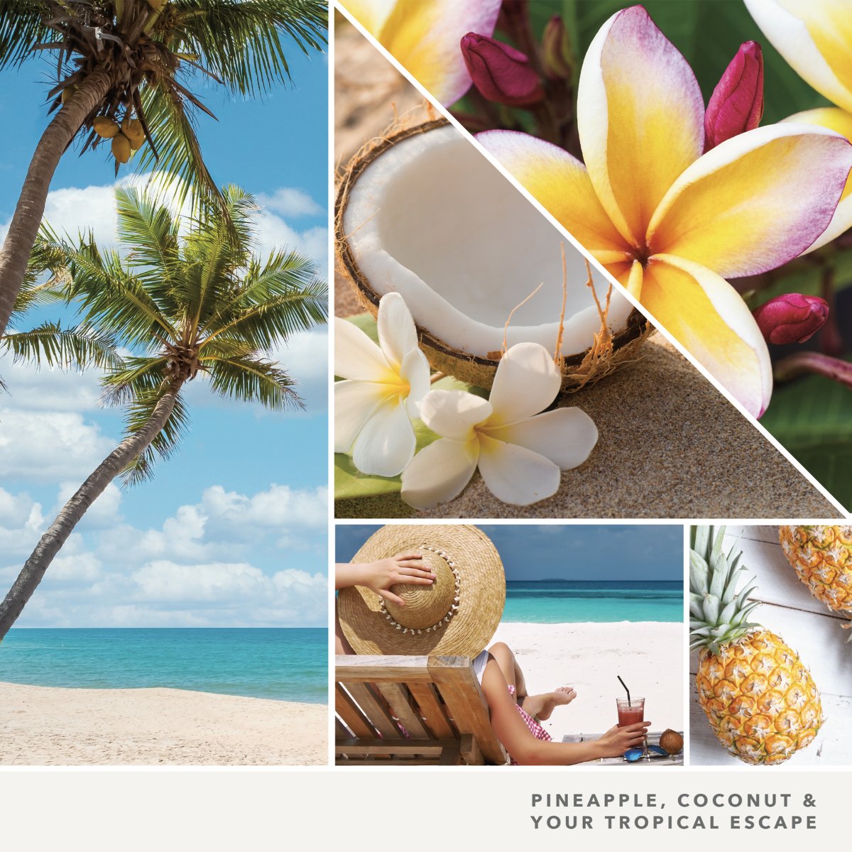 Cera da fondere "Coconut Beach" Yankee Candle - Kōdō.boutique