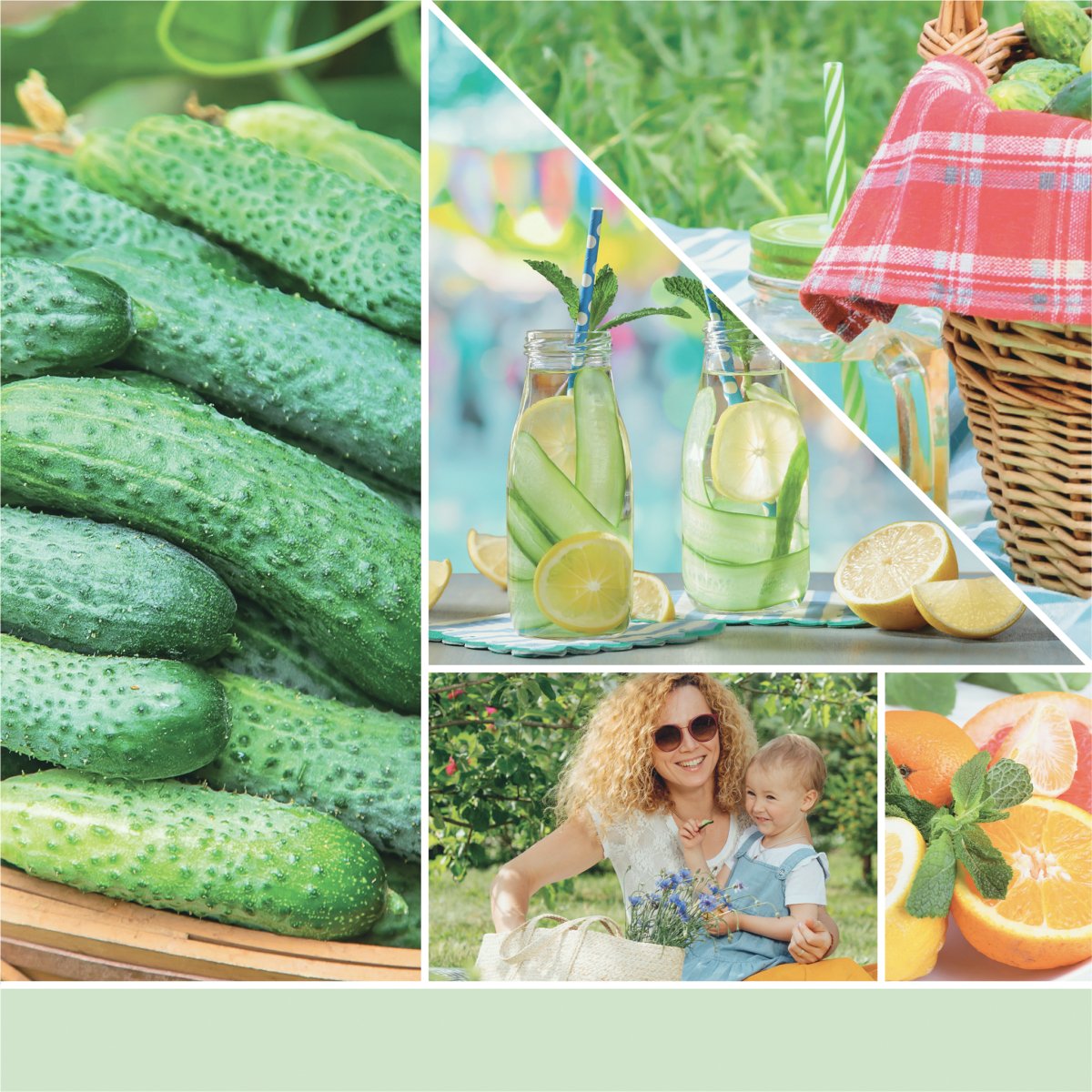 Cera da fondere "Cucumber Mint Cooler" Yankee Candle - Kōdō.boutique